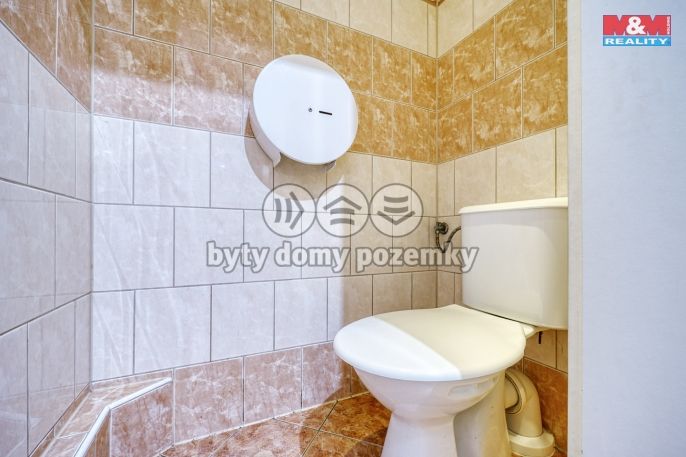 Prodej, Restaurace, stravování, Toužim