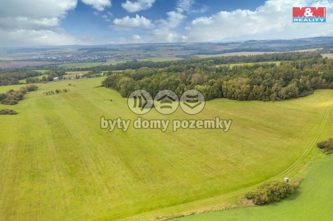 Prodej, Louka, Spálené Poříčí