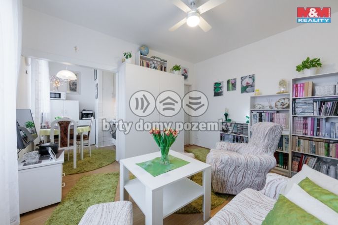 Prodej, Byt 1+kk, 25 m², Praha, Královická