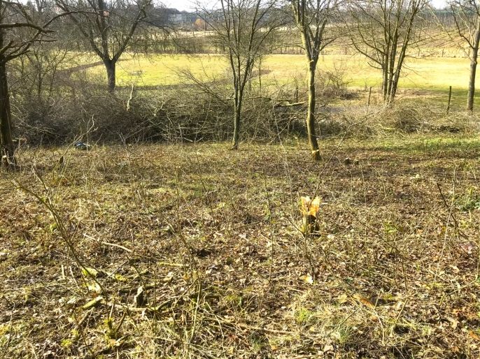 Prodej, Zahrada, Postoloprty