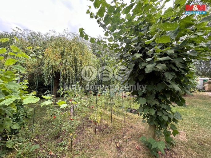 Prodej, Pozemek k bydlení, Radonice