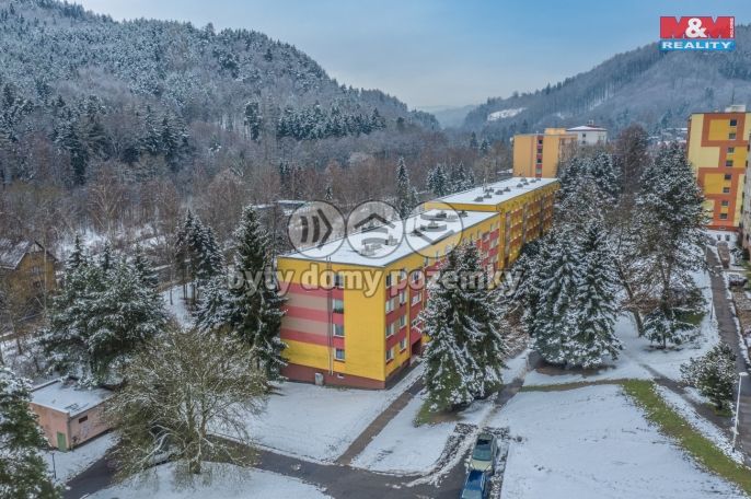 Prodej, Byt 2+1, Děčín