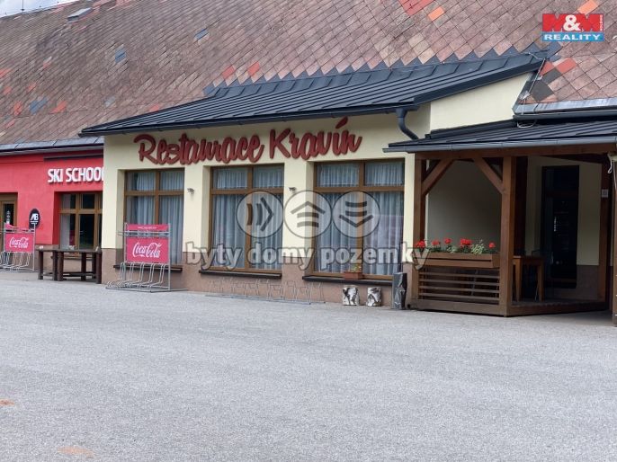 Prodej, Pozemek k bydlení, Mladé Buky