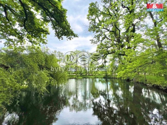 Prodej, Vodní plocha, Žulová