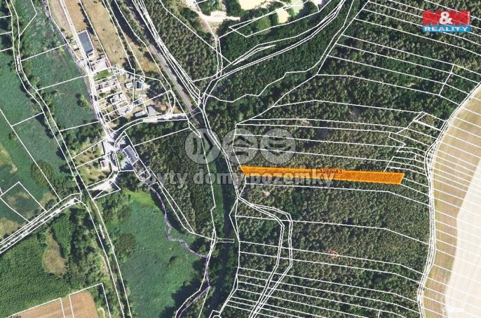 Prodej, Les, Lužná