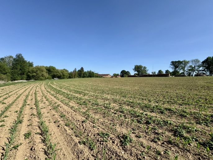 Prodej, Pozemek k bydlení, Chýstovice