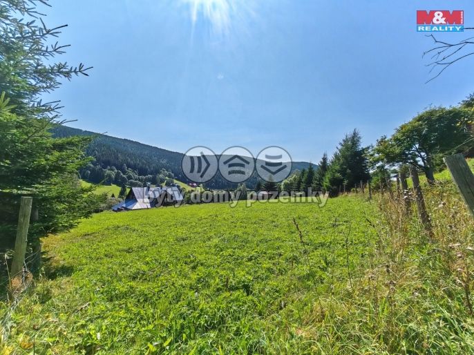 Prodej, Louka, Malá Úpa