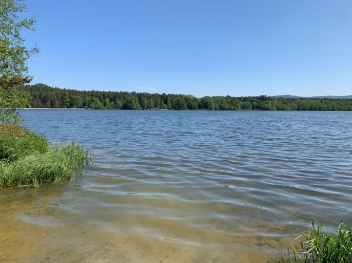 Prodej, Chata, Hamr na Jezeře