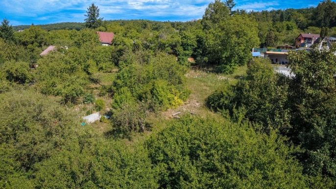 Prodej, Zahrada, Šternberk