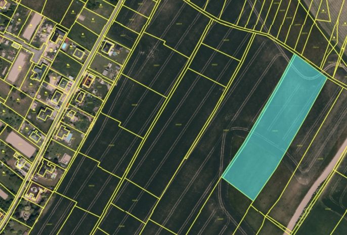 Prodej, Pole, Tísek