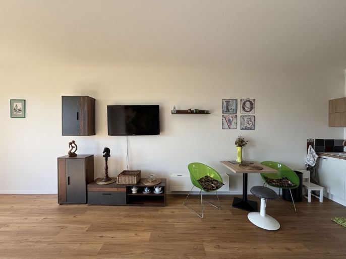 Pronájem, Byt 1+kk, Brandýs nad Labem-Stará Boleslav