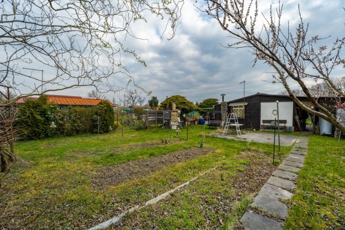 Prodej, Ostatní, Mladá Boleslav