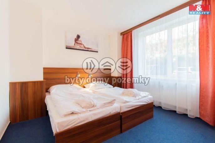 Prodej, Byt 1+1, Frymburk