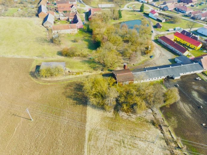 Prodej, Pole, Kladruby