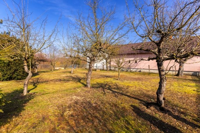 Prodej, Rodinný dům, Nechanice