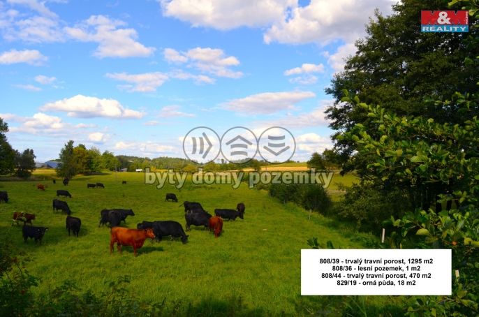 Prodej, Pole, Štoky