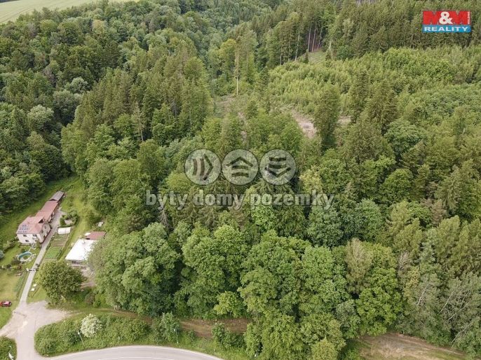 Prodej, Les, Ústí nad Orlicí