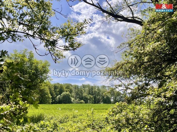 Prodej, Pole, Měcholupy