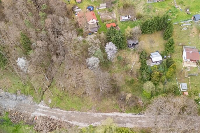 Prodej, Zahrada, Plasy