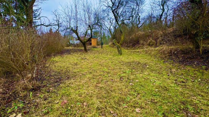 Pronájem, Zahrada, Brno