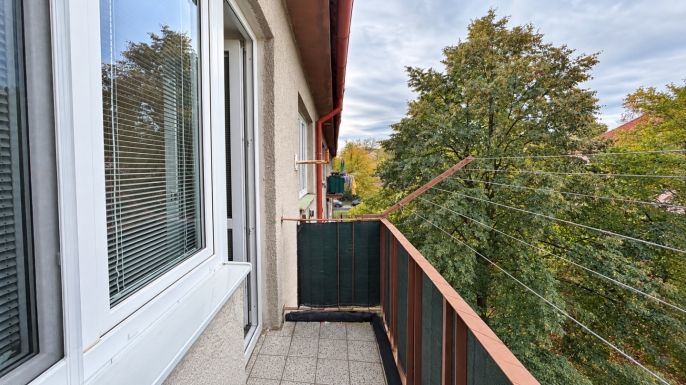 Pronájem, Byt 2+1, Louny