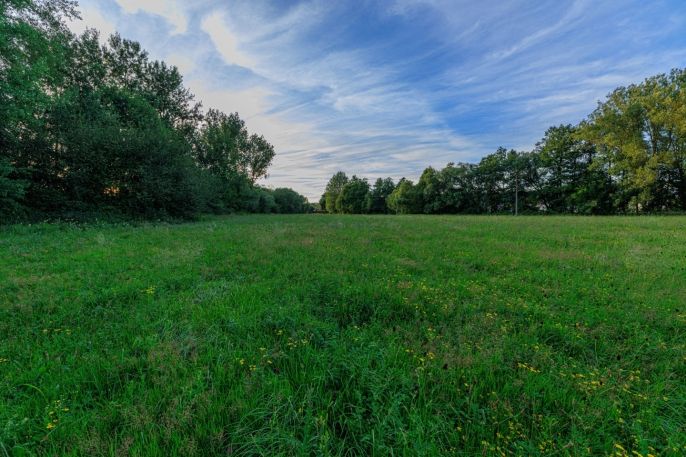 Prodej, Louka, Horní Bříza
