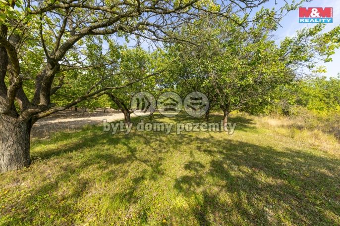 Prodej, Ovocný sad, Židlochovice