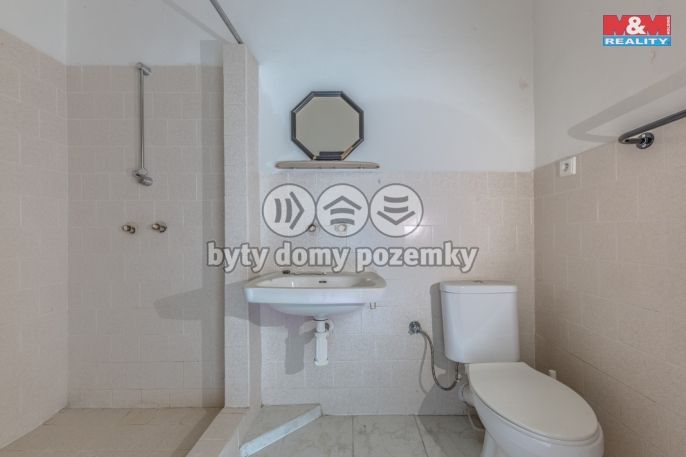 Prodej, Hotel, penzion, Plavy