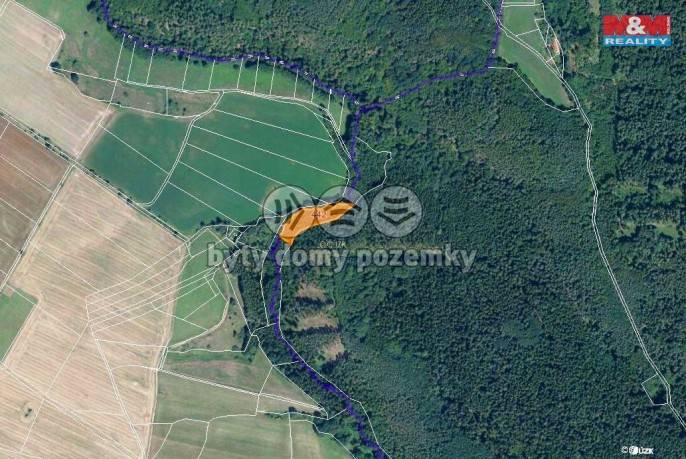 Prodej, Les, Borotice