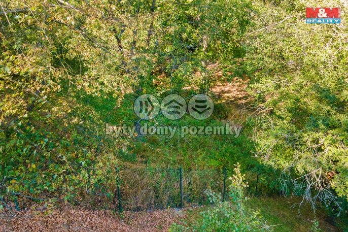 Prodej, Pozemek k bydlení, Plasy