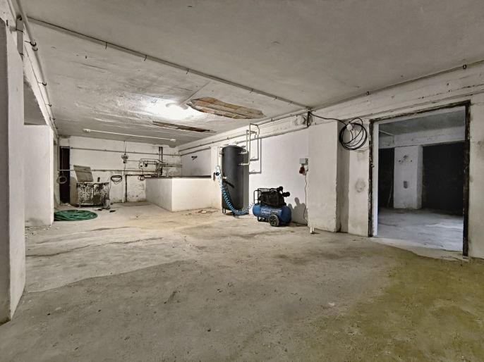 Prodej, Výrobní objekt, Bořetín