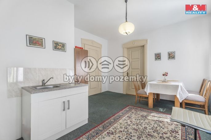 Prodej, Hotel, penzion, Velké Hamry