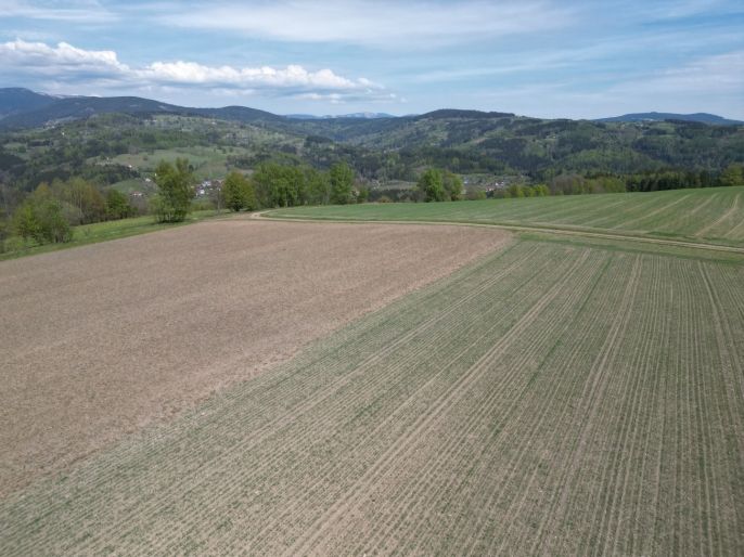 Prodej, Pole, Vysoké nad Jizerou