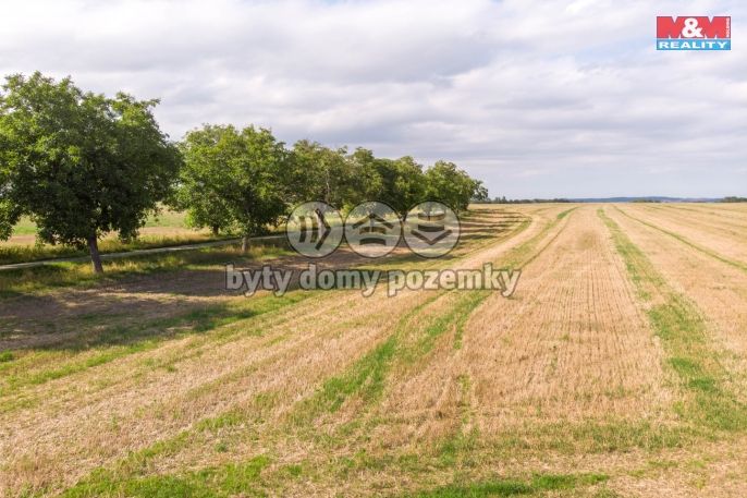 Prodej, Pozemek k bydlení, Brumovice