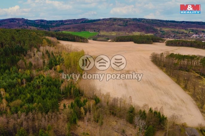 Prodej, Pole, Předenice