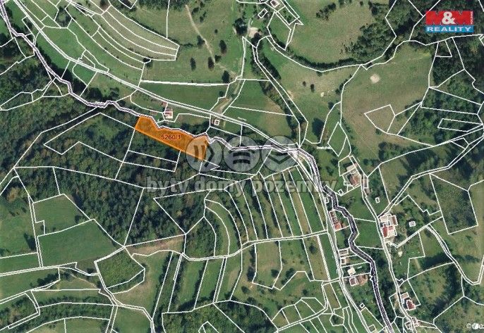 Prodej, Les, Huslenky