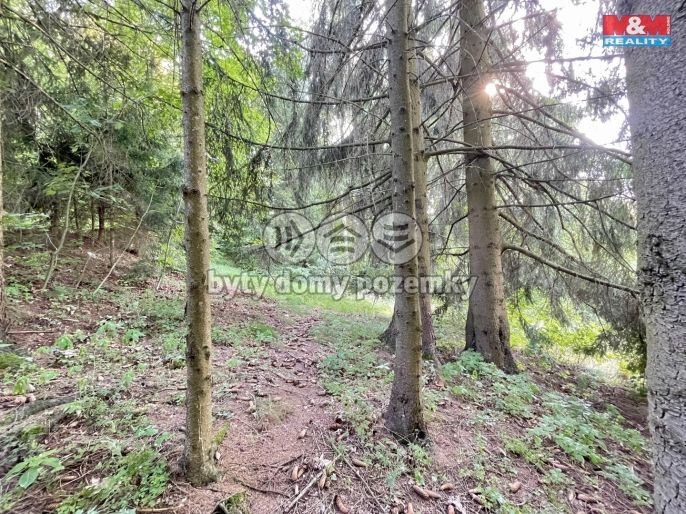 Prodej, Zahrada, Borová