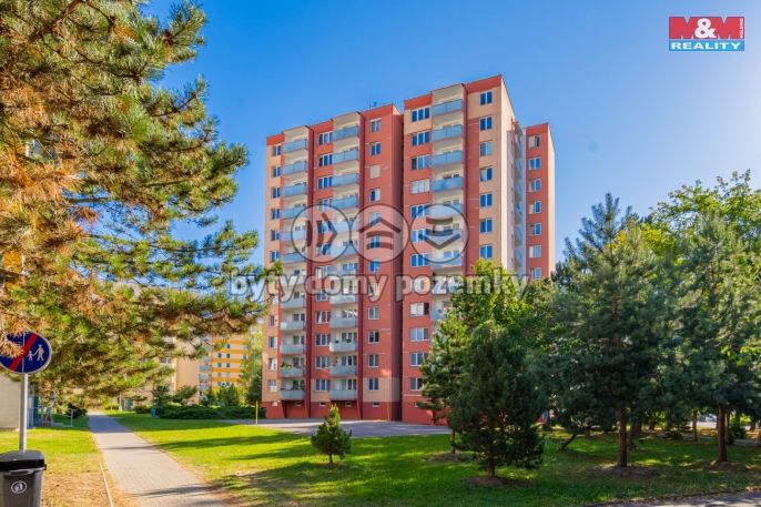 Prodej, Byt 3+1, 72 m², České Budějovice, Netolická