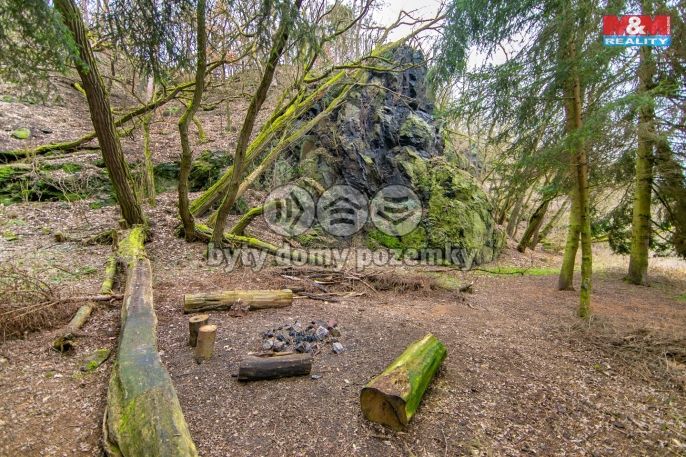 Prodej, Les, Zruč-Senec