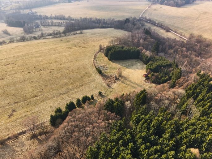 Prodej, Ostatní, Královec