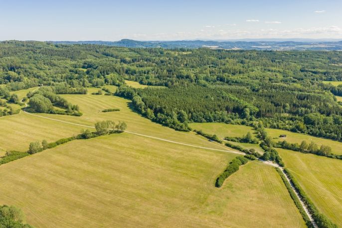 Prodej, Louka, Louňová