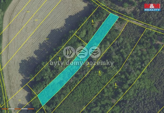 Prodej, Les, Svatý Mikuláš