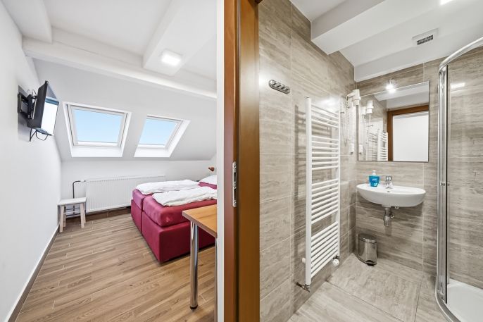 Prodej, Hotel, penzion, Čenkovice