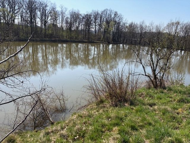 Prodej, Komerční pozemky, Stará Ves nad Ondřejnicí