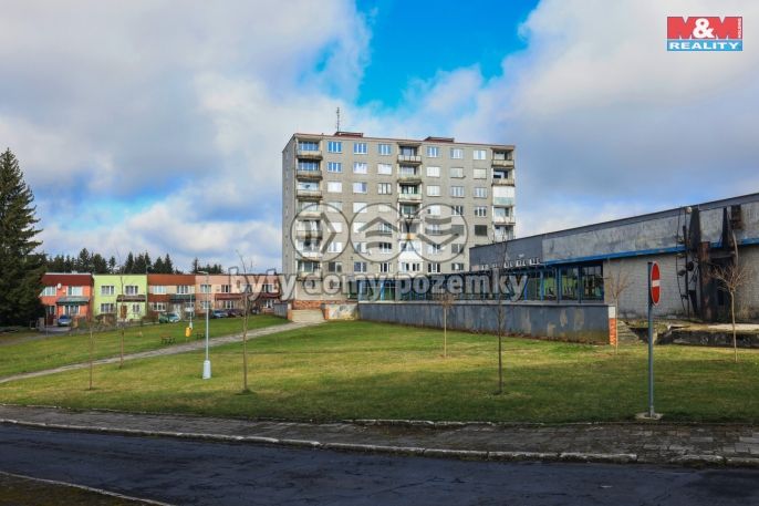 Pronájem, Byt 1+kk, Rovná