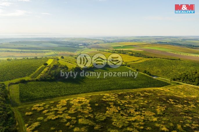 Prodej, Vinice, Šardice