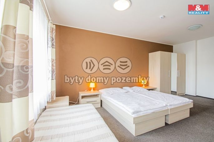 Prodej, Hotel, penzion, Slezské Rudoltice