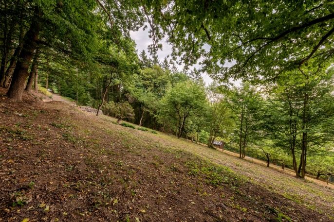Prodej, Zahrada, Jablonné nad Orlicí
