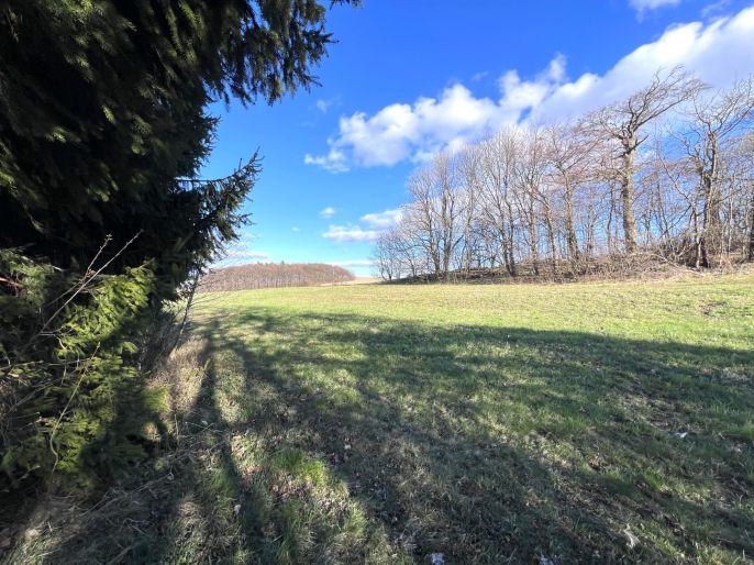 Prodej, Rodinný dům, Protivanov