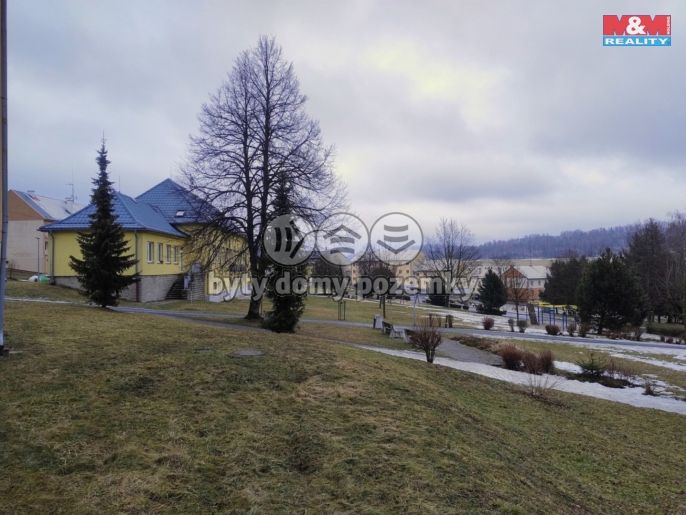 Prodej, Byt 2+1, Břidličná